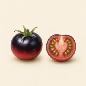 Indigo Rose Tomato tomato illustration